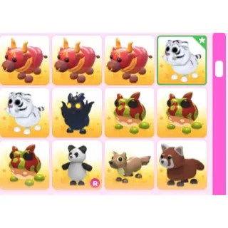 BUNDLE PET 12X ADOPT ME