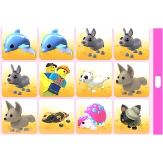 BUNDLE PET 12X ADOPT ME