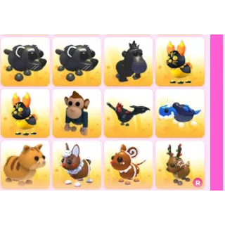 BUNDLE PET 12X ADOPT ME