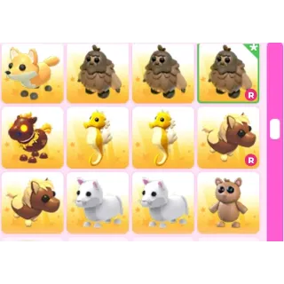 BUNDLE PET 12X ADOPT ME