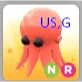 octopus NR
