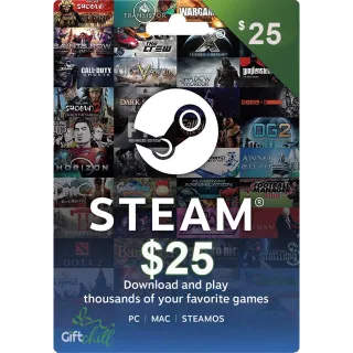 $25.00 USD Steam