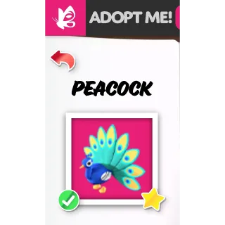 PEACOCK NFR ADOPT ME PETS