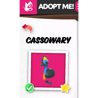 CASSOWARY FR