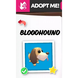 Bloodhouno NFR ADOPT ME PETS