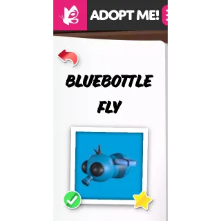 BLUEBOTTLE FLY MFR