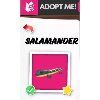 SALAMANDER NFR