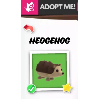 HEDGEHOG FR FULL GROND