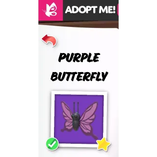 PURPLE BUTTERFLY FR