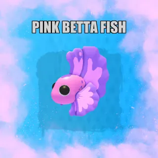 pink betta fish FR