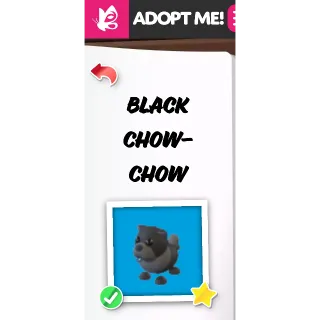 Black Chow-Chow MFR