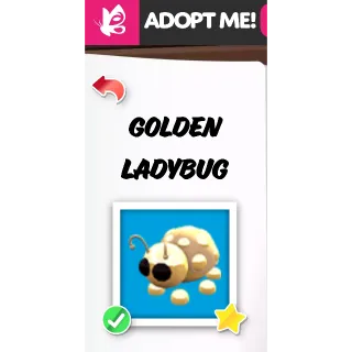 MEGA GOLDEN LADYBUG MFR