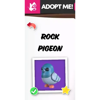 ROCK PIGEON MFR ADOPT ME PETS