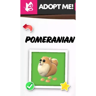 POMERANIAN FR