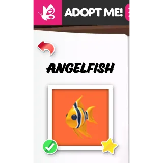 ANGELFISH FR