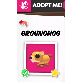 GROUNDHOG FR ADOPT ME PETS