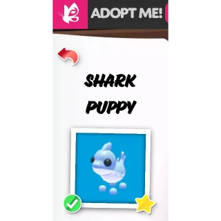 SHARK PUPPY FR