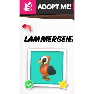 LAMMERGEIER FR