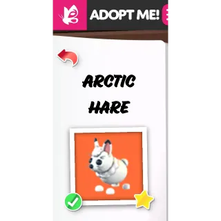 ARCTIC HARE FR