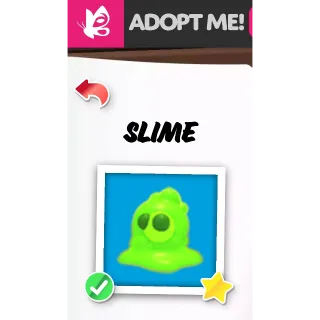 SLIME FR