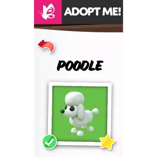 POODLE MFR ADOPT ME PETS