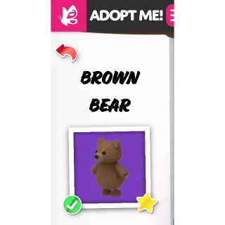 BROWN BEAR NFR NEON