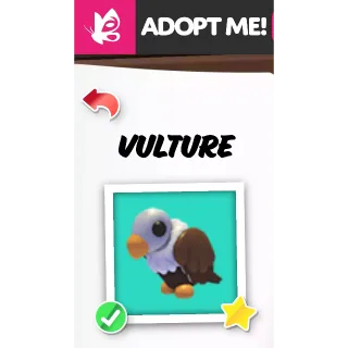 VULTURE FR