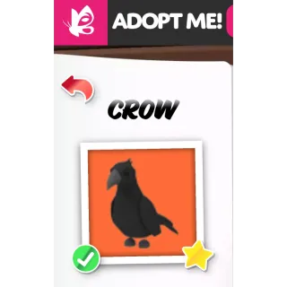 CROW FR ADOPT ME PETS
