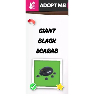 GIANT BLACK SCARAB NFR