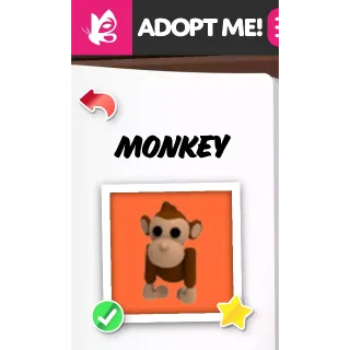 MONKEY FR