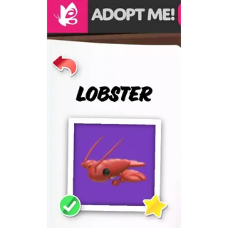 LOBSTER NFR