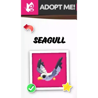 SEAGULL FR