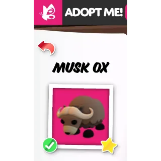 MUSK OX FR