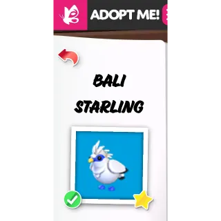 BALI STARLING NFR ADOPT ME PETS