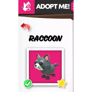 RACCOON MFR ADOPT ME PETS