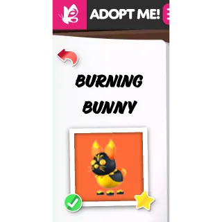 Burning Bunny MFR