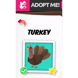 Turkey FR ADOPT ME PETS