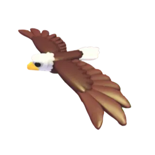 bald eagle FR