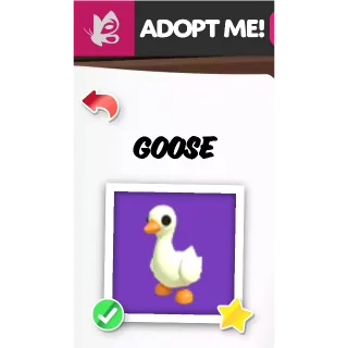 GOOSE NFR ADOPT ME PETS