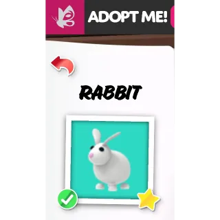 RABBIT MFR