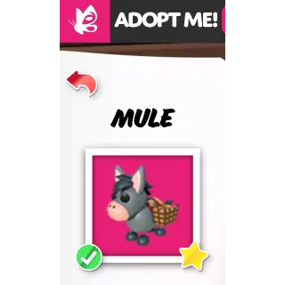 MULE MFR MEGA