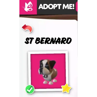 St Bernard MFR ADOPT ME PETS