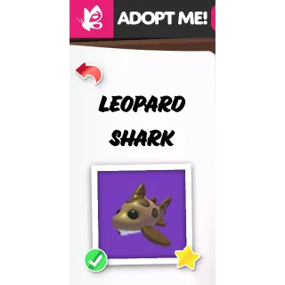 LEOPARD SHARK FR