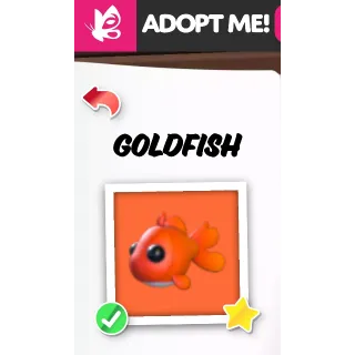 GOLDFISH NFR