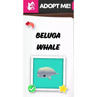 BELUGA WHALE FR