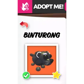 BINTURONG FR