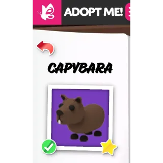 Capybara NFR