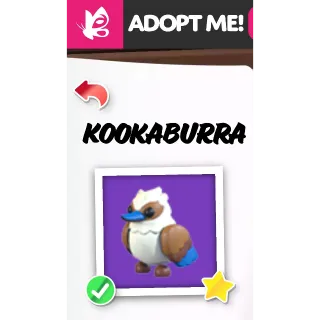 KOOKABURRA NFR