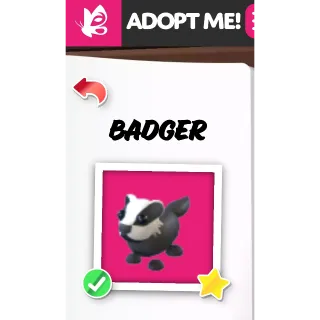 BADGER NFR