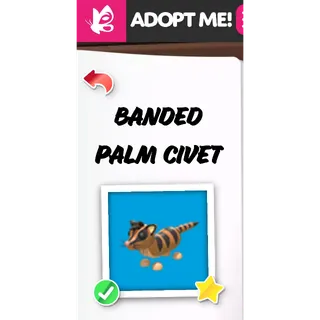 Banded Palm Civet FR